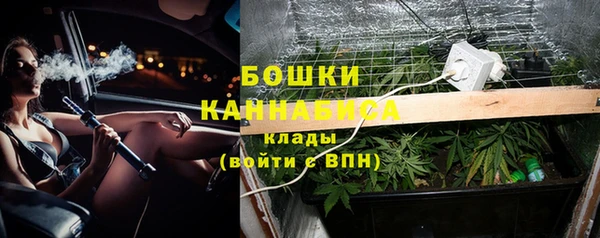 мяу мяу мука Баксан